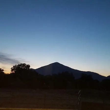 Sardegna Vacanze Sa Mura 招待所 *