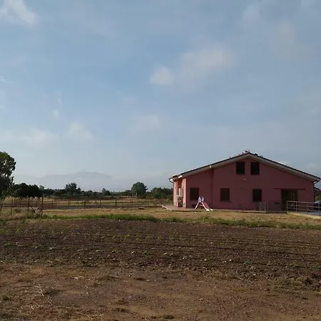 招待所 Sardegna Vacanze Sa Mura Domusnovas